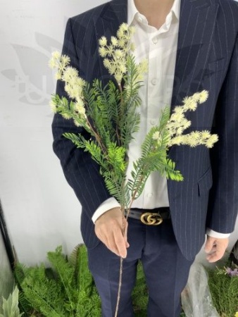 12c6a769-f2ad-11ef-8915-246e9611e8f5-1