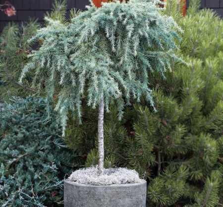 5ae7dd1a-d1b7-11f0-891e-246e9611e8f6-1