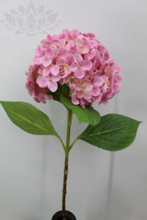 146e718a-5a6d-11f0-891b-246e9611e8f7-1