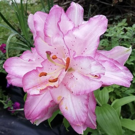 73ed510d-b391-11ee-8bd7-001e673ebdea-1