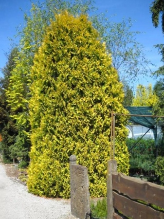 6863bf15-1822-11f0-8918-246e9611e8f6-1