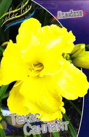 c444e9d0-3e53-11df-884b-0019dbe91ea3-1