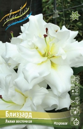 9056d281-6f8f-11ec-8bcd-005056c00008-1