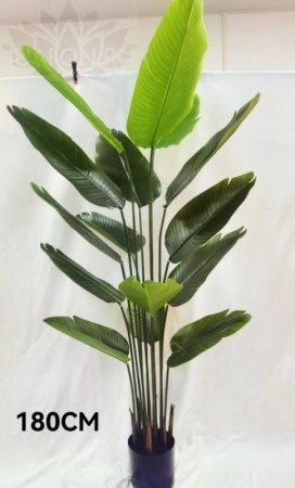 4120713e-cab8-11f0-891e-246e9611e8f6-1