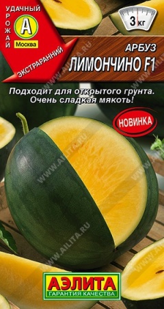 c60966d3-f824-11ea-b984-005056c00008-2