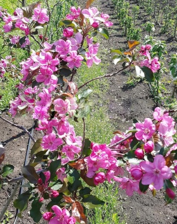 68852966-2fe2-11f0-8918-246e9611e8f6-1