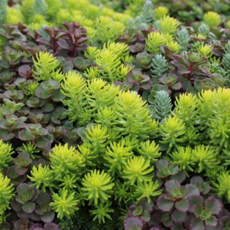 9895b48a-023b-11ef-890b-246e9611e8f5-1