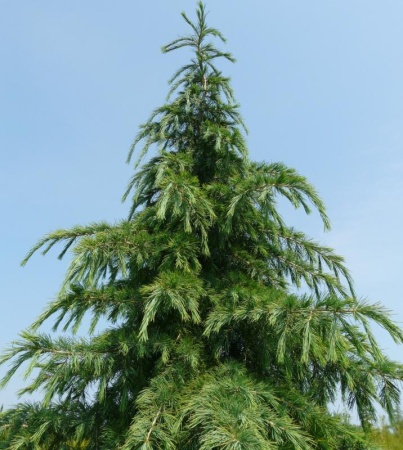 781070ae-e5e1-11ee-890a-246e9611e8f5-1