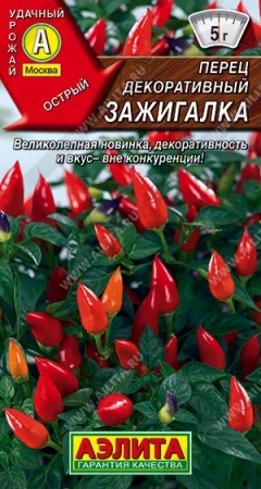 54ccafe2-f840-11ea-b984-005056c00008-2