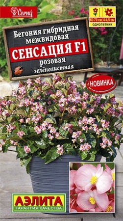 fbd6659a-62f5-11eb-bba4-005056c00008-2