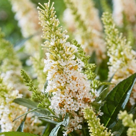 e8dc4e81-d01b-11f0-891e-246e9611e8f6-1