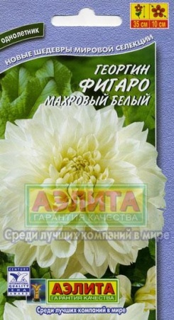 70f41b07-dcea-11dd-9138-00500454e615-2