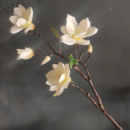 d2427efa-5a60-11f0-891b-246e9611e8f7-1