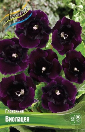 b14423c6-3740-11eb-b90a-005056c00008-1