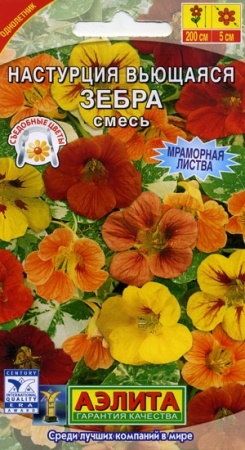 c3a33147-228a-11df-8823-0019dbe91ea3-2