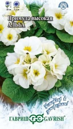 b3692104-e289-11df-b975-0019dbe91ea3-1