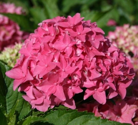 0c90b11a-ce8a-11f0-891e-246e9611e8f6-1