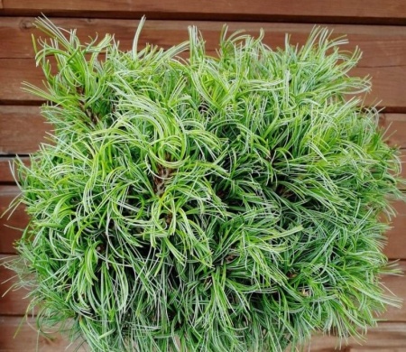 b2fd1479-d4fa-11f0-891e-246e9611e8f6-1