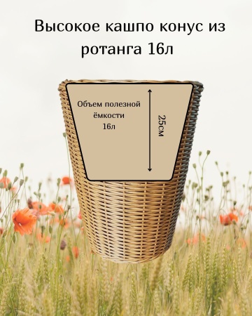 2ca9cad9-df16-11f0-891e-246e9611e8f6-3