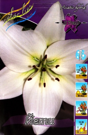 eae1e955-6758-11ed-bd4c-001e673ebdea-1