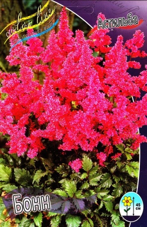 016beb76-3e12-11df-884b-0019dbe91ea3-1