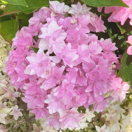 e0e069bf-ce90-11f0-891e-246e9611e8f6-1