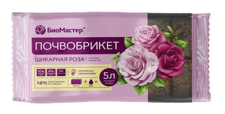 c1eec324-be03-11ef-8914-246e9611e8f5-1