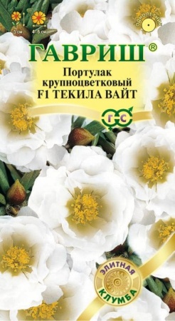 21433db3-c797-11de-87ae-0019dbe91ea3-1