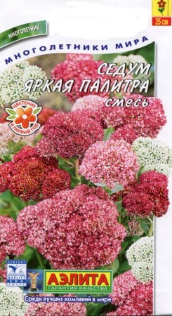 c3a33149-228a-11df-8823-0019dbe91ea3-2