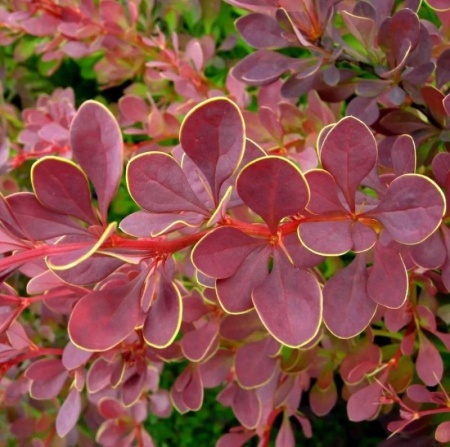 05eeedbc-ceb4-11f0-891e-246e9611e8f6-1