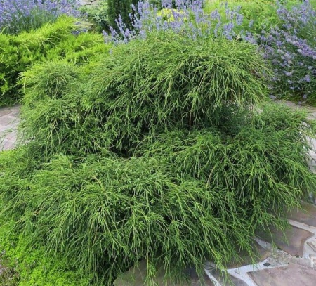 630ee5dc-d1e1-11f0-891e-246e9611e8f6-1