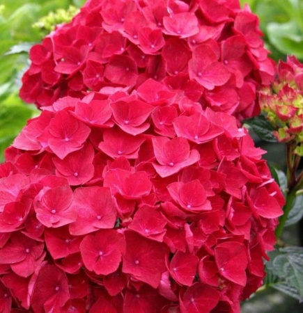 c88ef4ad-dea9-11e4-ab27-001e673ebdea-1