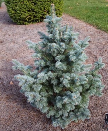 a9cf7b57-d4ed-11f0-891e-246e9611e8f6-1