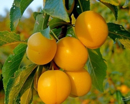 161299a1-1f54-11f0-8918-246e9611e8f6-1