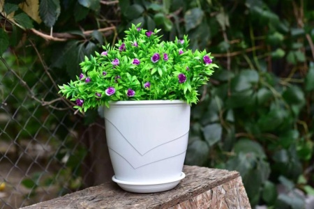 88068b59-5810-11ed-aea3-001e673ebdea-1