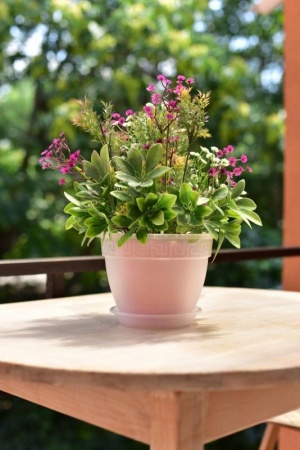 775261d8-6834-11ee-ae0a-001e673ebdea-1