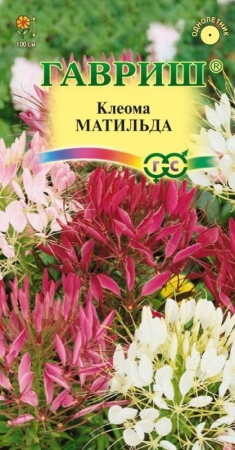 ea8a483c-f6eb-11e7-b46d-005056c00008-1