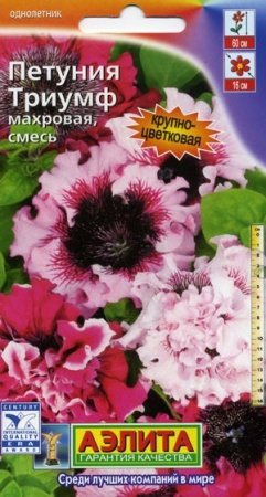 954d93ca-dcea-11dd-9138-00500454e615-2