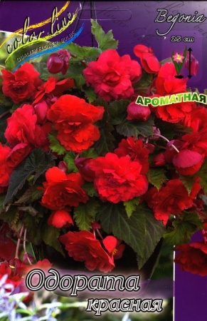 2a49dcde-b44a-11ee-8bd7-001e673ebdea-1