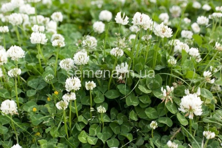 6e79e0fb-0acb-11e2-9c64-00500454e615-2