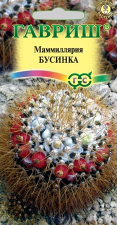 4cff72da-ce8c-11eb-8e2c-005056c00008-1