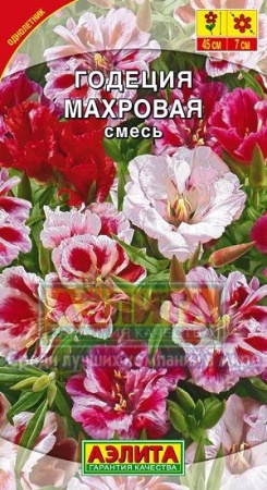 baa6dab3-47cf-11e1-82d8-00500454e615-2