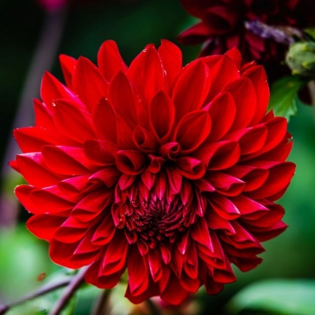 72e1276a-e787-11e5-9ba7-001e673ebdea-1