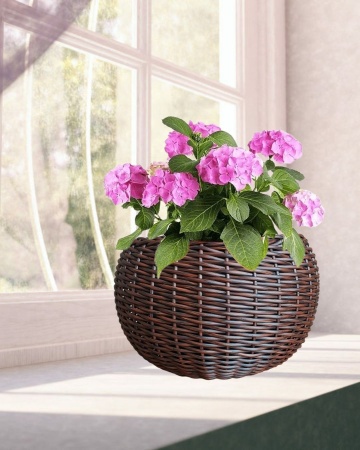 858bde0d-d667-11f0-891e-246e9611e8f6-1