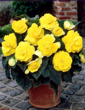 387d71ff-3740-11eb-b90a-005056c00008-1