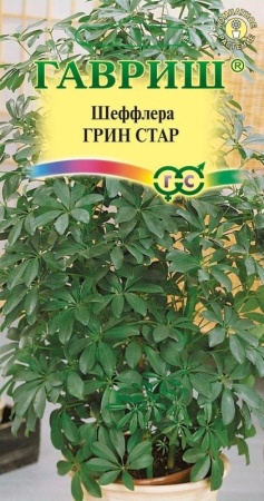 ad57294c-dcea-11dd-9138-00500454e615-1