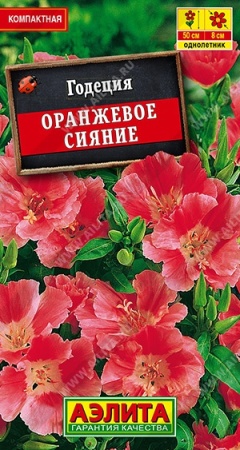 70f41b5d-dcea-11dd-9138-00500454e615-1