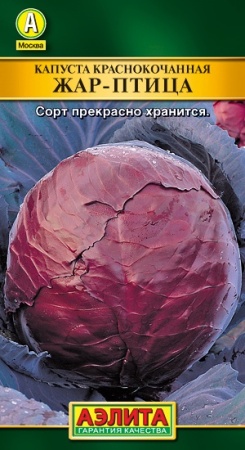 5df2340d-0f34-11e0-94c9-00500454e615-2