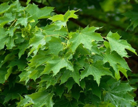 106fde17-114b-11f0-8918-246e9611e8f6-1