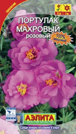 954d95b2-dcea-11dd-9138-00500454e615-2